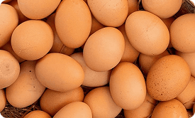 Telur Ayam